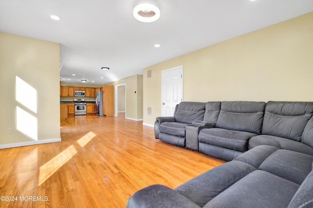 living room featuring light hardwood / wood-style floors