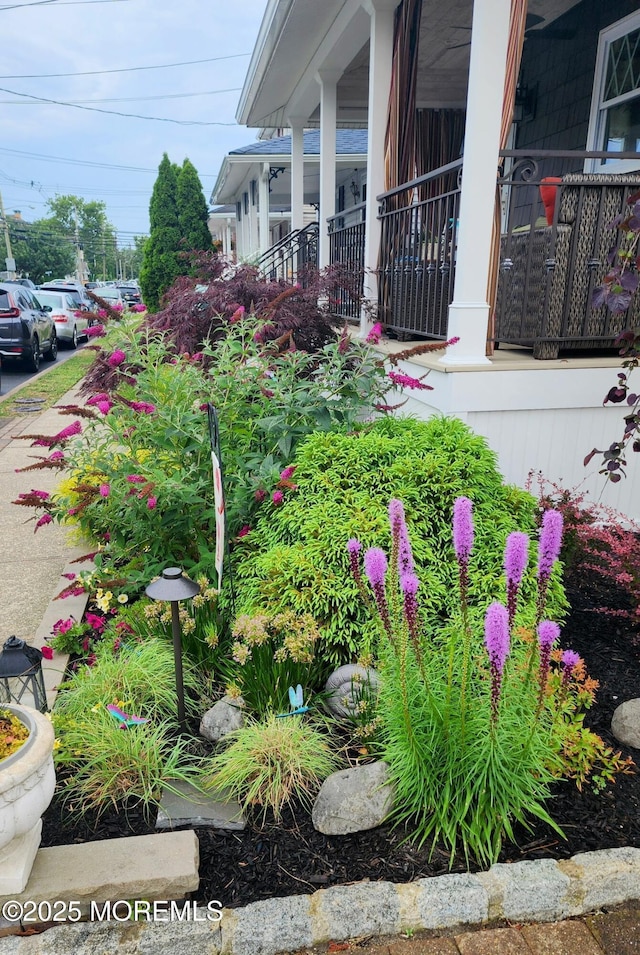 view of yard with covered porch