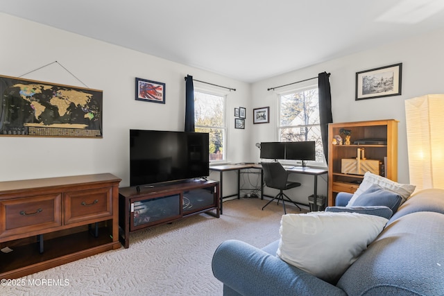 view of carpeted living room