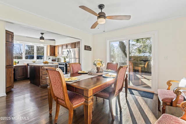 dining area featuring ceiling fan, dark hardwood / wood-style floors, and ornamental molding