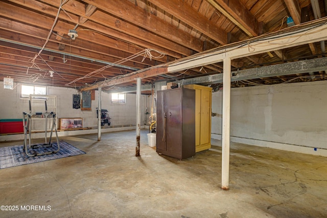 basement with electric panel and a healthy amount of sunlight