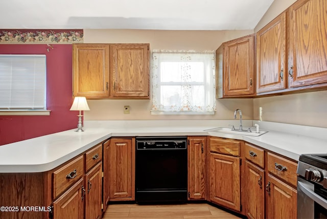 kitchen with stainless steel range, dishwasher, and sink