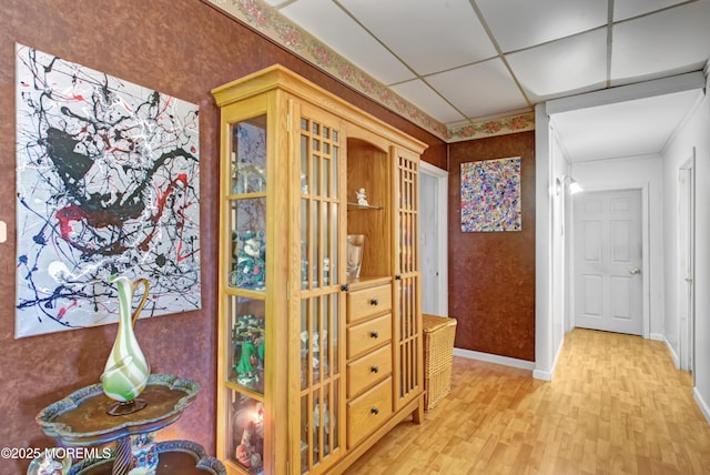 hall with a drop ceiling and hardwood / wood-style flooring