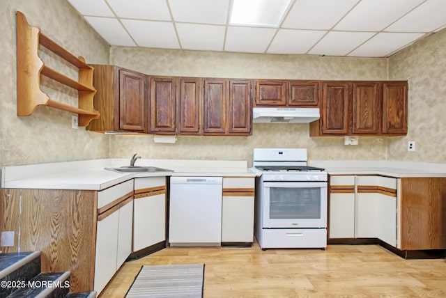 kitchen with white appliances, a drop ceiling, light hardwood / wood-style flooring, and sink