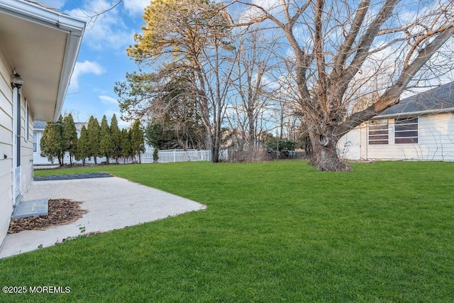 view of yard featuring a patio