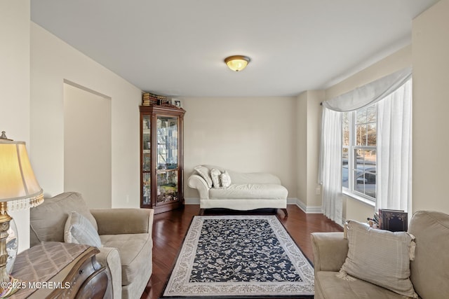 living room with dark hardwood / wood-style floors