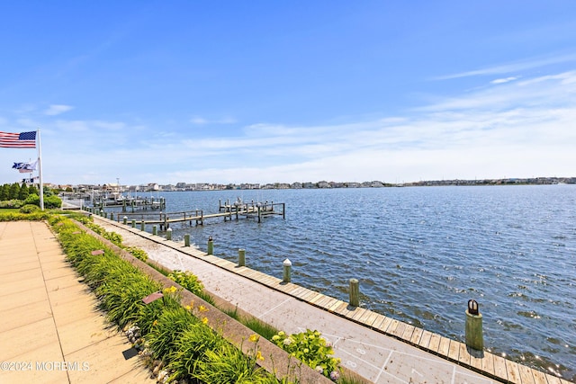 dock area with a water view