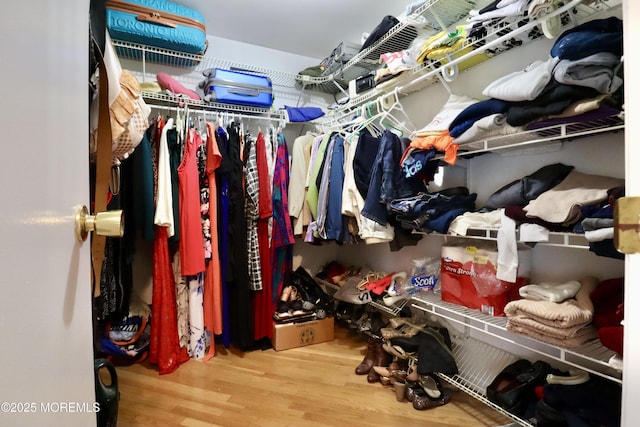 walk in closet with wood-type flooring