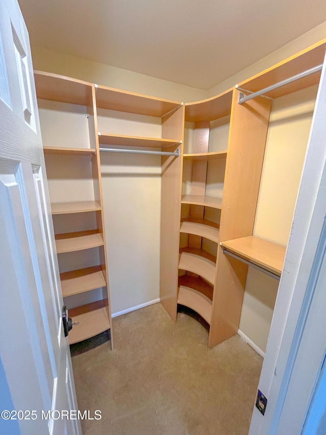 169 Docare Rd, Jackson, NJ 08527 - walk in closet with carpet