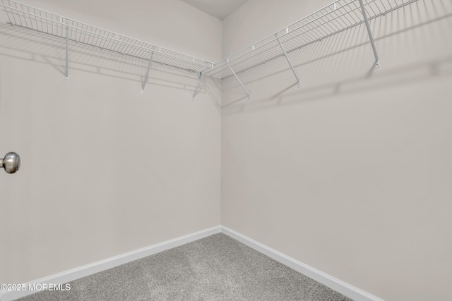 spacious closet with carpet floors