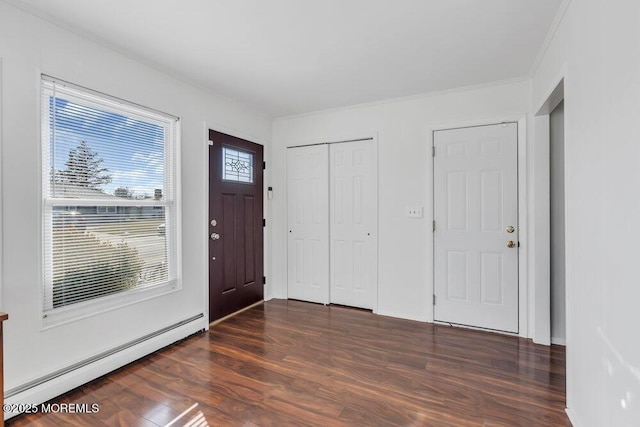 entryway featuring dark hardwood / wood-style flooring, a healthy amount of sunlight, and baseboard heating