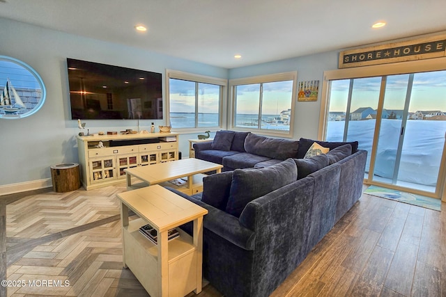 living room with hardwood / wood-style flooring and plenty of natural light