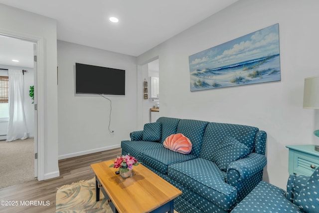 living room featuring wood-type flooring