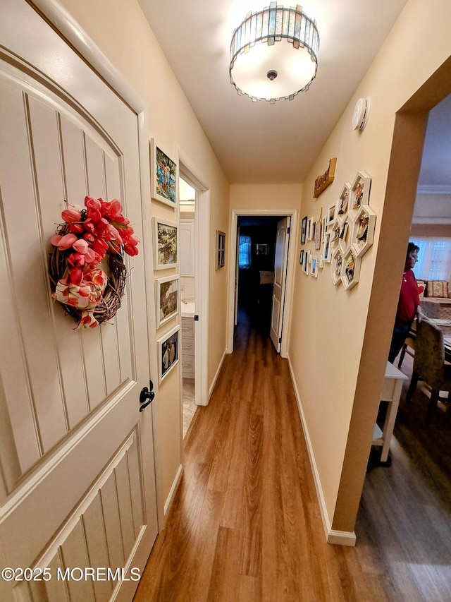 hall featuring wood-type flooring