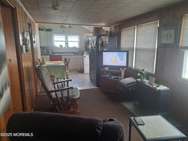 living room with sink and wooden walls