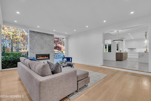 living room featuring a healthy amount of sunlight, a premium fireplace, and light wood-type flooring