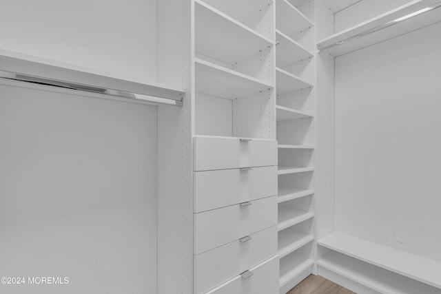 spacious closet with hardwood / wood-style flooring