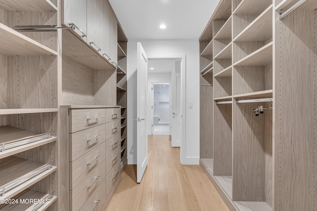 walk in closet with light hardwood / wood-style floors