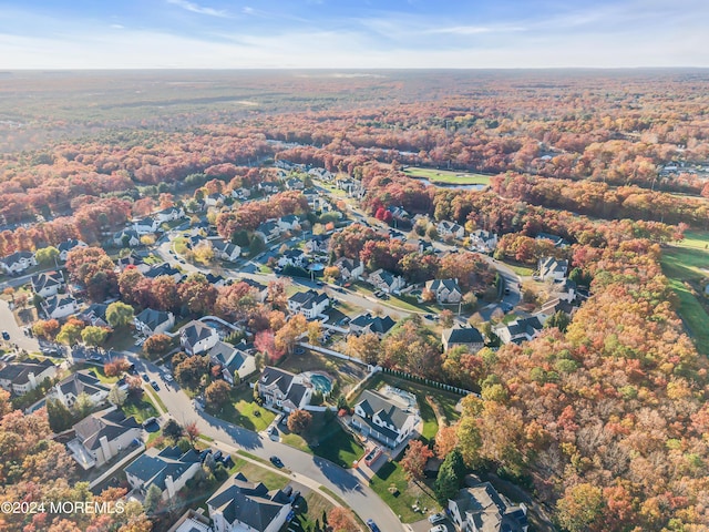 bird's eye view