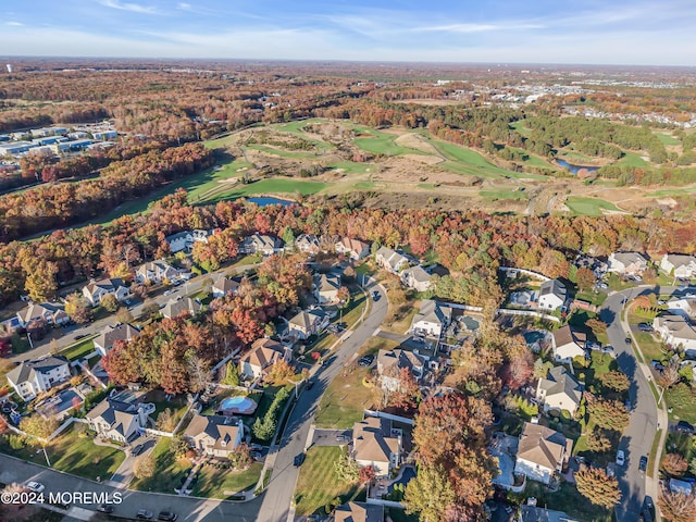 drone / aerial view