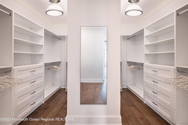 walk in closet with dark hardwood / wood-style floors