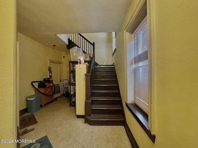 staircase with carpet