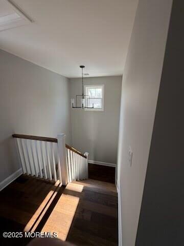 stairway with hardwood / wood-style floors