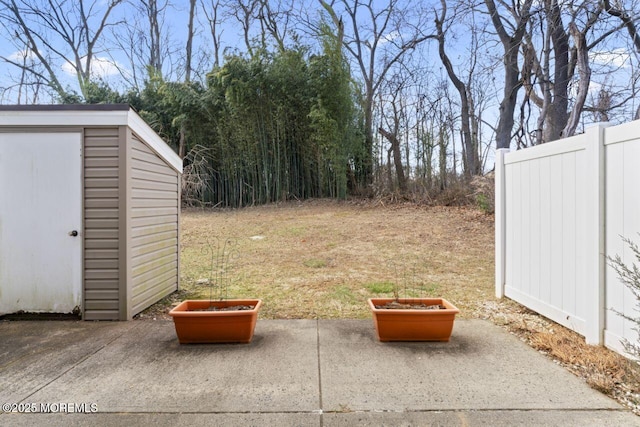 view of yard featuring a patio and a storage unit