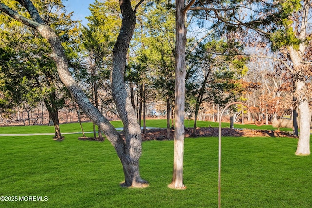 view of property's community featuring a lawn