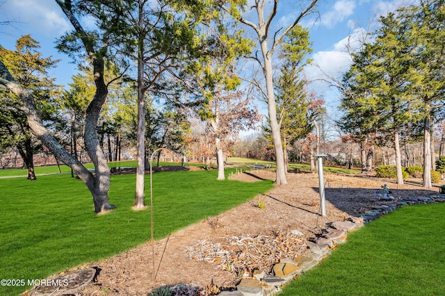 view of community featuring a yard