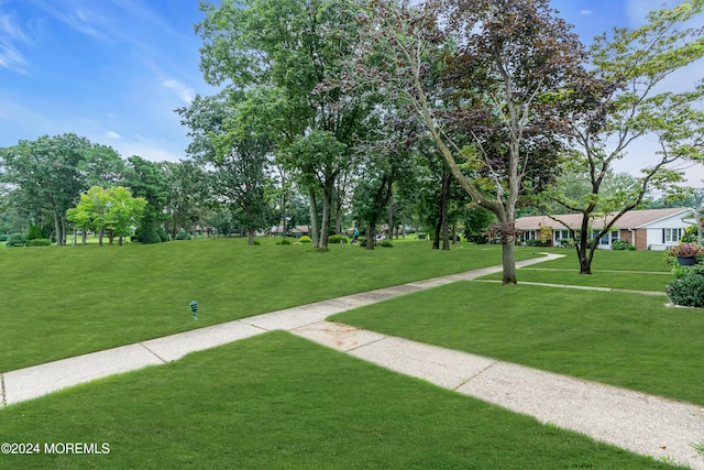 view of community featuring a lawn