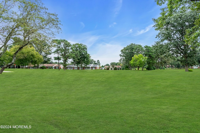 view of home's community with a lawn