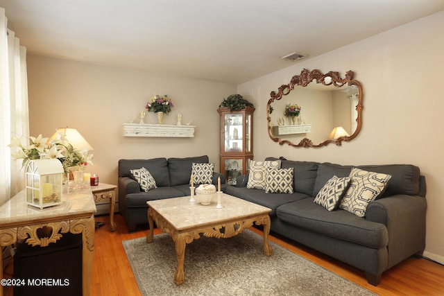 living room featuring baseboard heating and hardwood / wood-style flooring