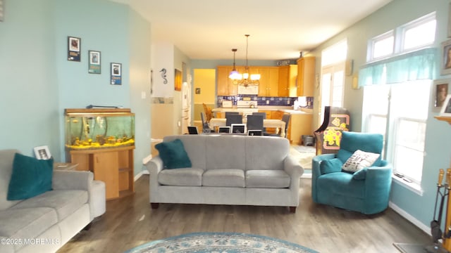 living room with a wealth of natural light, hardwood / wood-style floors, and an inviting chandelier