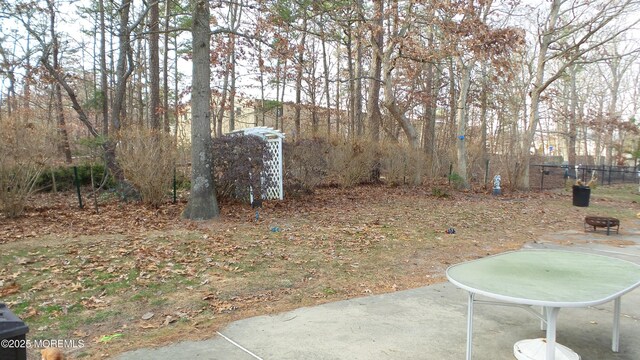 view of yard featuring a patio area