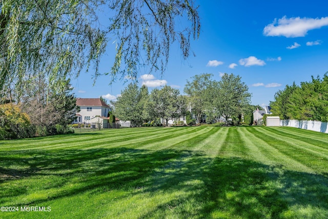 view of yard