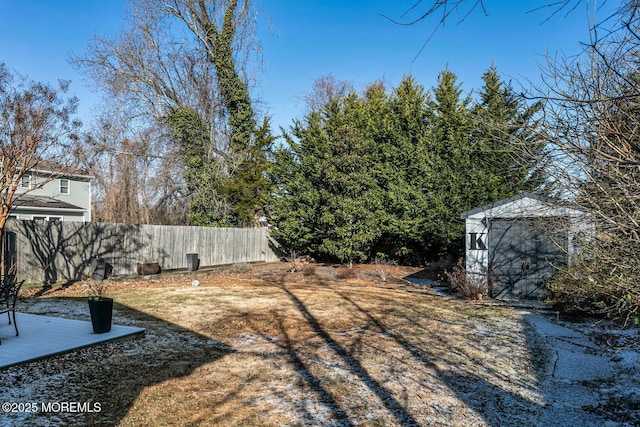 view of yard featuring a storage unit