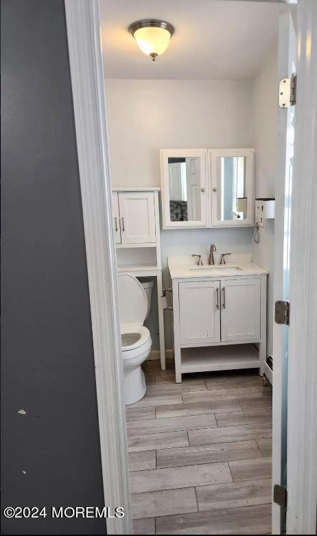 bathroom with toilet and vanity