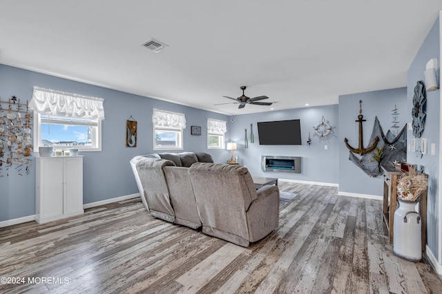 living room with ceiling fan and hardwood / wood-style flooring