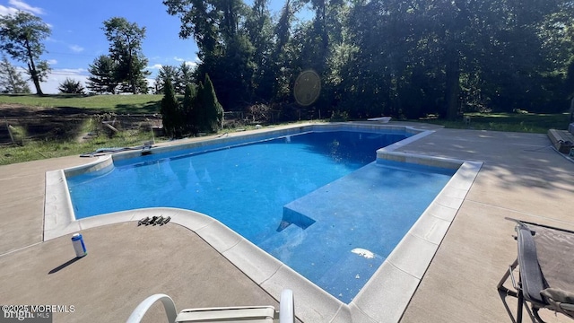 view of swimming pool with a patio area