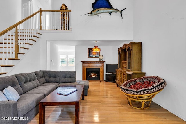 living room featuring hardwood / wood-style floors