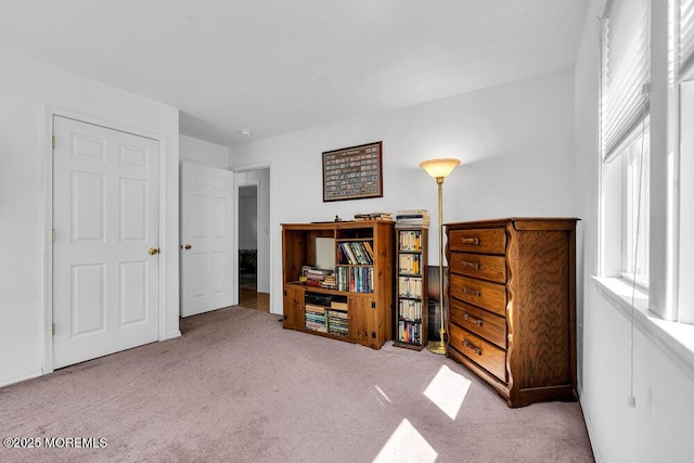 bedroom featuring light carpet