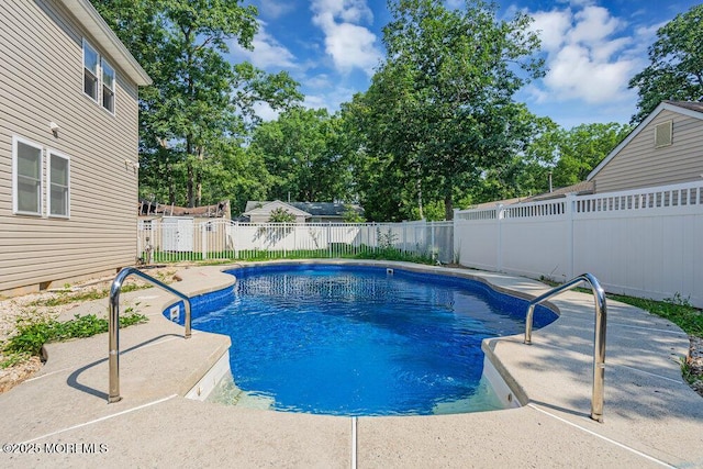 view of pool with a patio