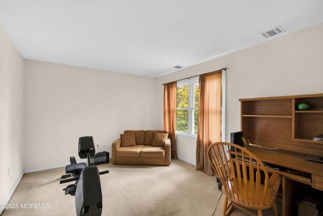 home office with carpet flooring