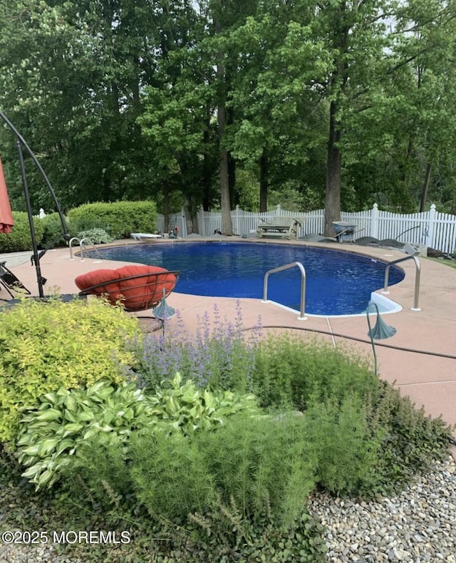 view of pool with a diving board and a patio