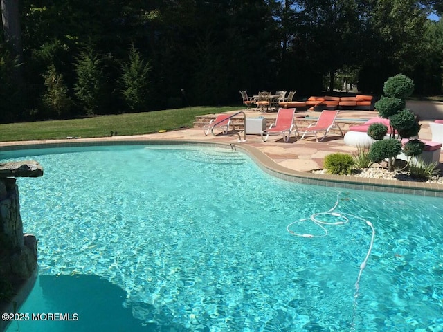 view of swimming pool with a patio area