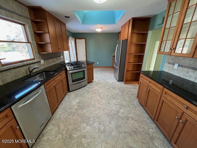 kitchen with a skylight, appliances with stainless steel finishes, decorative backsplash, a raised ceiling, and sink