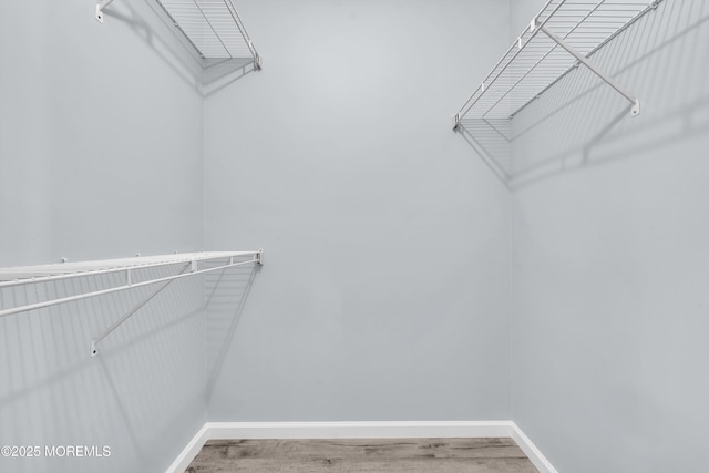 spacious closet with wood-type flooring