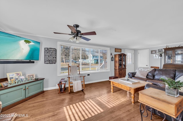 living room with ceiling fan, light wood-type flooring, and crown molding