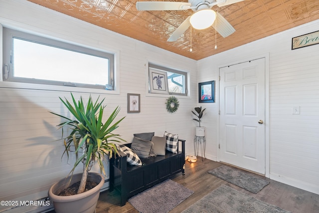 interior space with dark wood-type flooring, a healthy amount of sunlight, wood walls, and ceiling fan